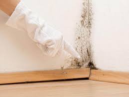 Best Mold Remediation for Healthcare Facilities  in South Pekin, IL